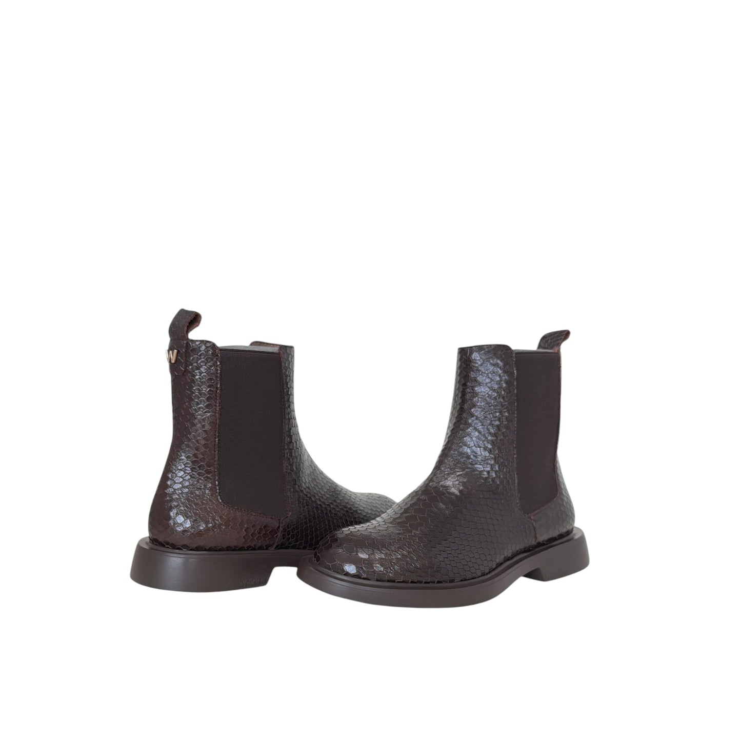 WONDERS | DOLEMAN | BROWN LEATHER
